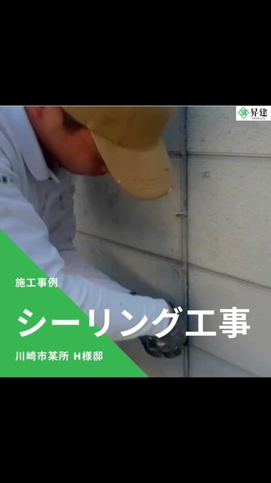 画像244